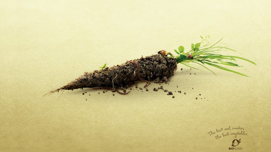 bio-suisse-earthy-veggies_carrot